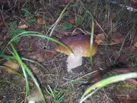 2013-09-08 12.11.14.webp