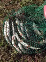IMG-20161007-WA0013.webp