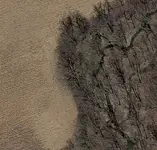 dump.webp