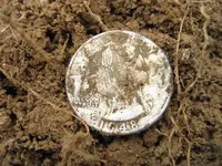 R2 F75DST 2 Quarters & 2 Dimes 009.webp