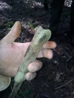 2013-06-23 17.28.18.webp