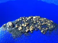 black gold.webp