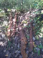 2013-09-08 10.26.25.webp