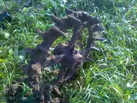 23102013810.webp