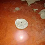 ImageUploadedByTreasureNet.com1485393218.874577.webp