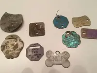 ImageUploadedByTreasureNet.com1481938825.109713.webp