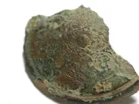 DSCN1371.webp