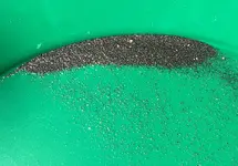 gold_black-sand.webp