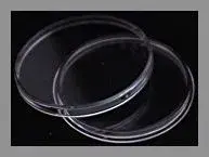 coin_holder.webp