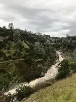 buddies creek.webp