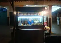 Mexican Hot Dog Carts.webp