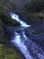 ImageUploadedByTreasureNet.com1484755273.697126.webp