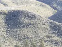 DSCF1713.webp