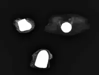 Rocks (2).webp Rocks (2).webp
