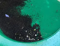Cleanout-1.webp