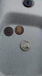 coins.webp coins.webp