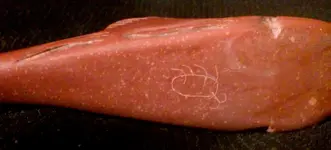 Fish Effigy Pipe 6a.webp