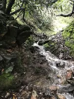 creek two.webp
