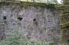 ImageUploadedByTreasureNet.com1483396094.330332.webp
