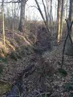 Creek1.webp