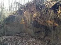 Creek3.webp