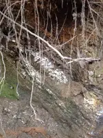 Creek4.webp