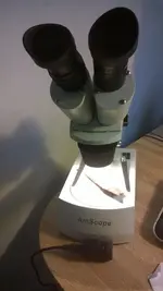 A M scope.webp