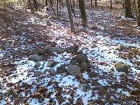 0202170955-00.webp