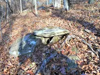 DSCN2737 (2).webp