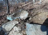 DSCN2734.webp