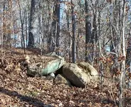 DSCN2732 (2).webp