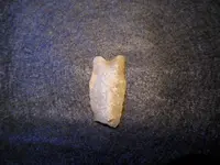 DSCN1766.webp