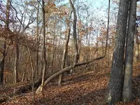 DSCN2742.webp