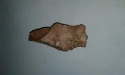 1482013754367558940165.webp