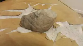 1484033275654.webp