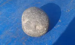 IMAG0917.webp