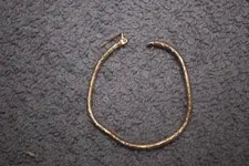 Metal detecting and CRH (3).webp