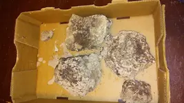 0212171814.webp 0212171814.webp