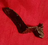 20170126_192431.webp