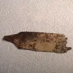 ImageUploadedByTreasureNet.com1484782306.266368.webp