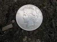 2212017 Silver Dollar.webp