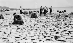 fish drying.webp fish drying.webp