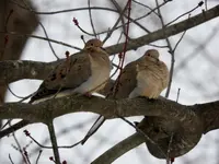 K1600_DSCN0964.webp
