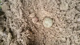 20161227_104857.webp