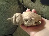 20150128_224915.webp