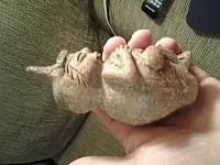 20150128_224935.webp