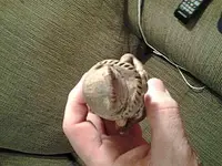 20150128_224955.webp