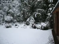 New Years Day 2017 005 a.webp New Years Day 2017 005 a.webp