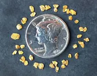 Gold_Flakes.webp