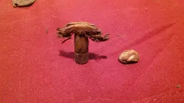 20170102_161548.webp 20170102_161548.webp